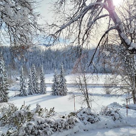 Appartement Wieser Ramsau am Dachstein Bagian luar foto